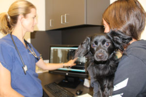 Fort Worth Veterinary Specialty & Emergency Hospital