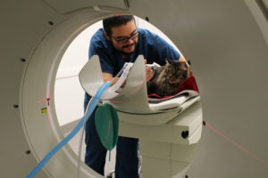 Fort Worth Veterinary Specialty & Emergency Hospital