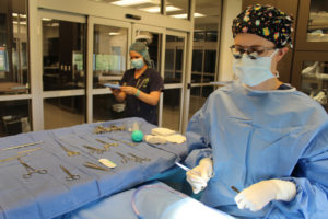 Fort Worth Veterinary Specialty & Emergency Hospital